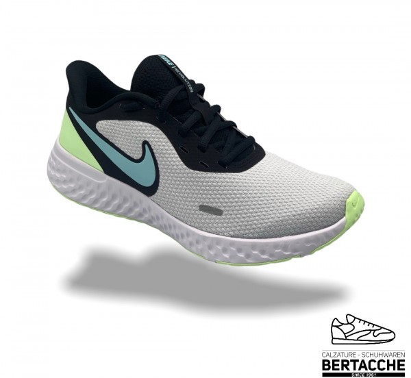 NIKE REVOLUTION 5 WMNS PLATINUM-ICE